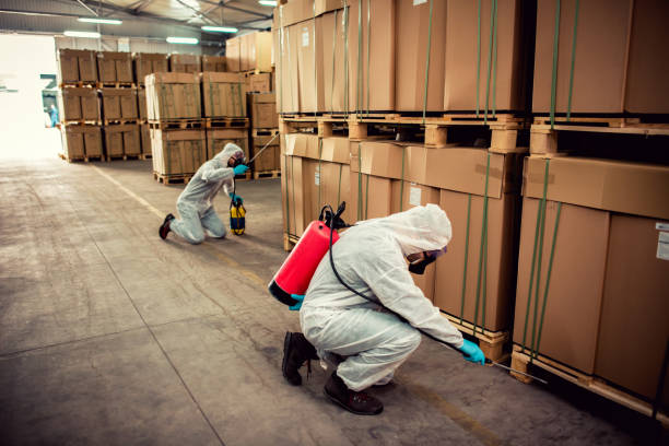 Best Pest Inspection Near Me  in Memphis, MI