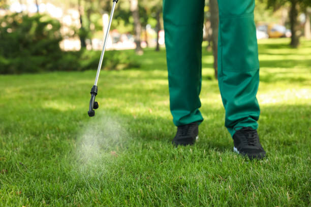 Best Affordable Pest Control Services  in Memphis, MI