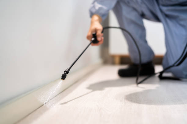 Best Pest Control for Homes  in Memphis, MI