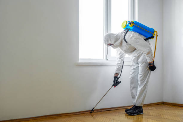 Best Rat Extermination Near Me  in Memphis, MI