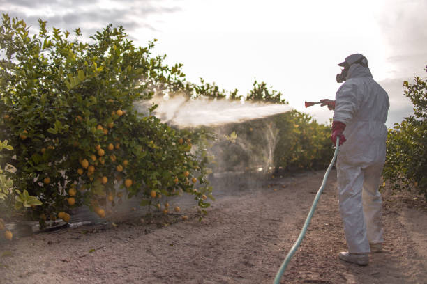 Best Local Pest Control Services  in Memphis, MI