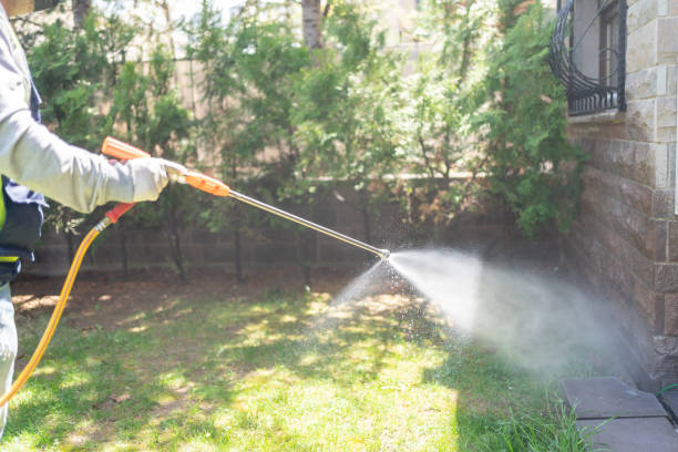 Best Bed Bug Extermination  in Memphis, MI