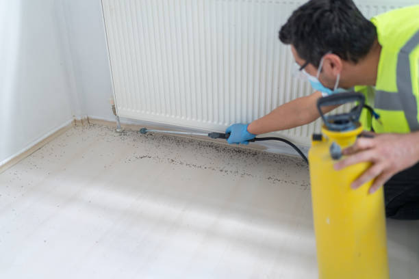Flea Control Services in Memphis, MI